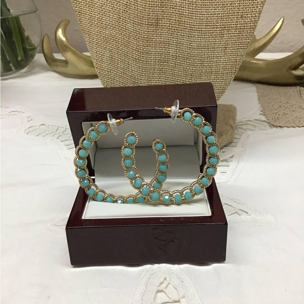 Pretty earrings